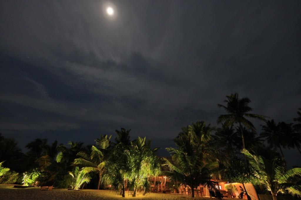 Mangrove Beach Cabana Tangalle Exteriér fotografie