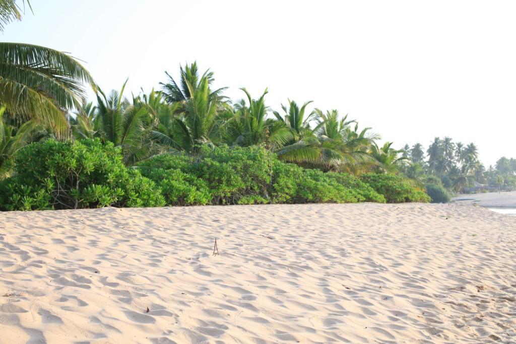 Mangrove Beach Cabana Tangalle Exteriér fotografie
