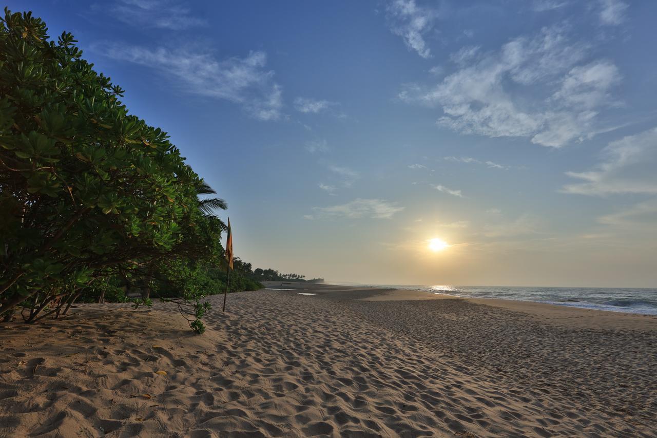 Mangrove Beach Cabana Tangalle Exteriér fotografie